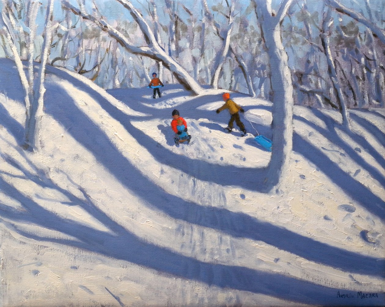 Zimní Bramcote Nottingham, 2008 od Andrew Macara