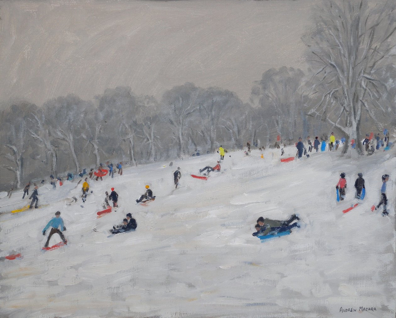 Zima, Darley Park, 2009 od Andrew Macara