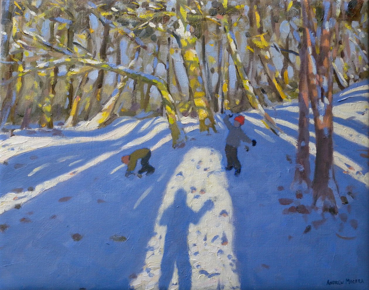 Zimní hrad Elvaston, 2008 od Andrew Macara