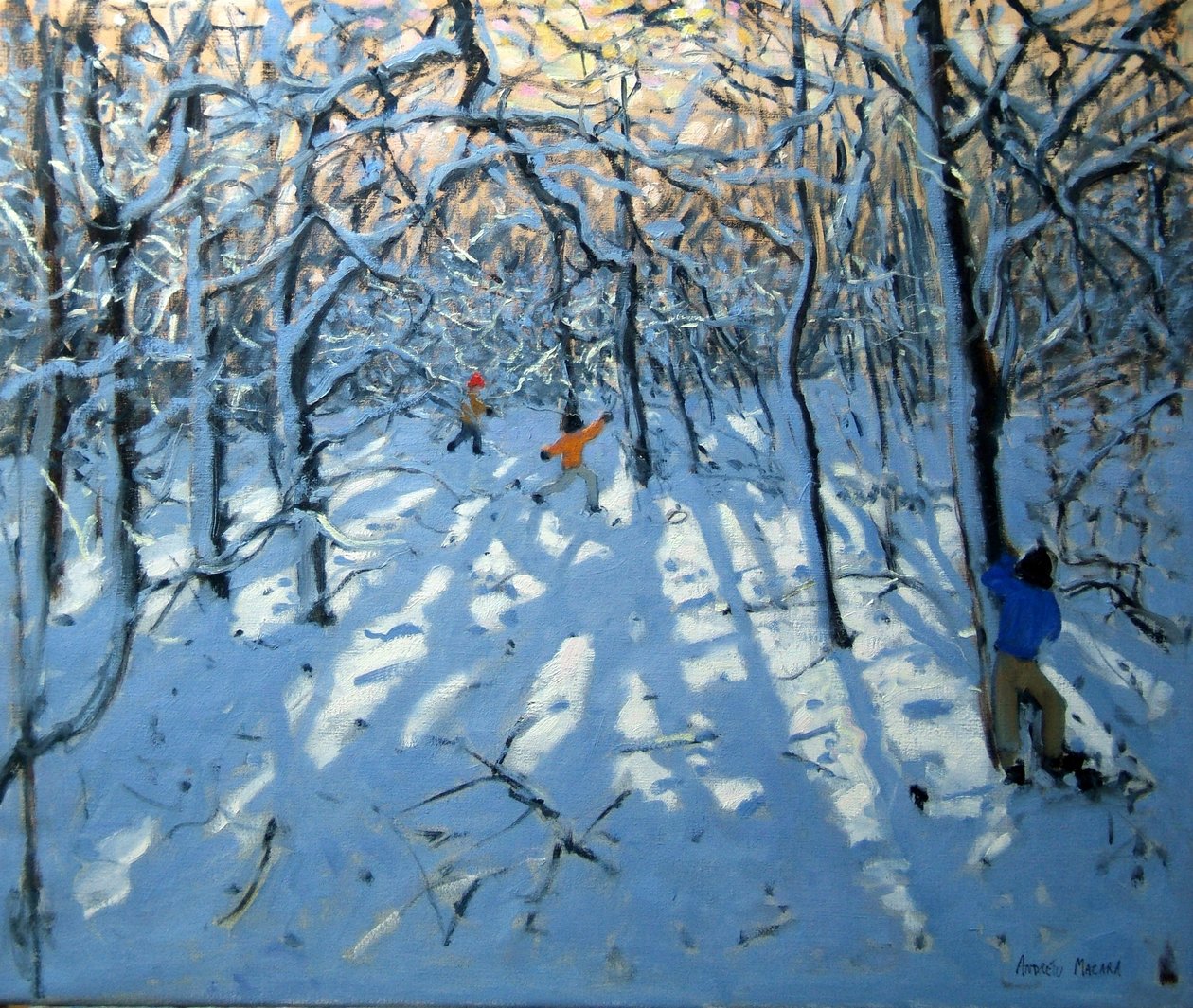 Zimní les, poblíž Newhaven, Derbyshire od Andrew Macara