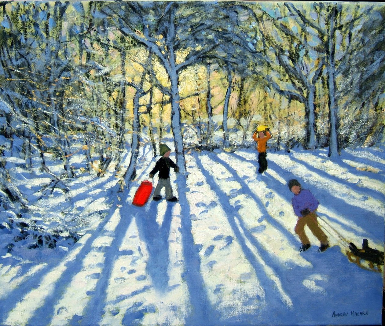 Woodland v zimě, poblíž Ashbourne, Derbyshire od Andrew Macara