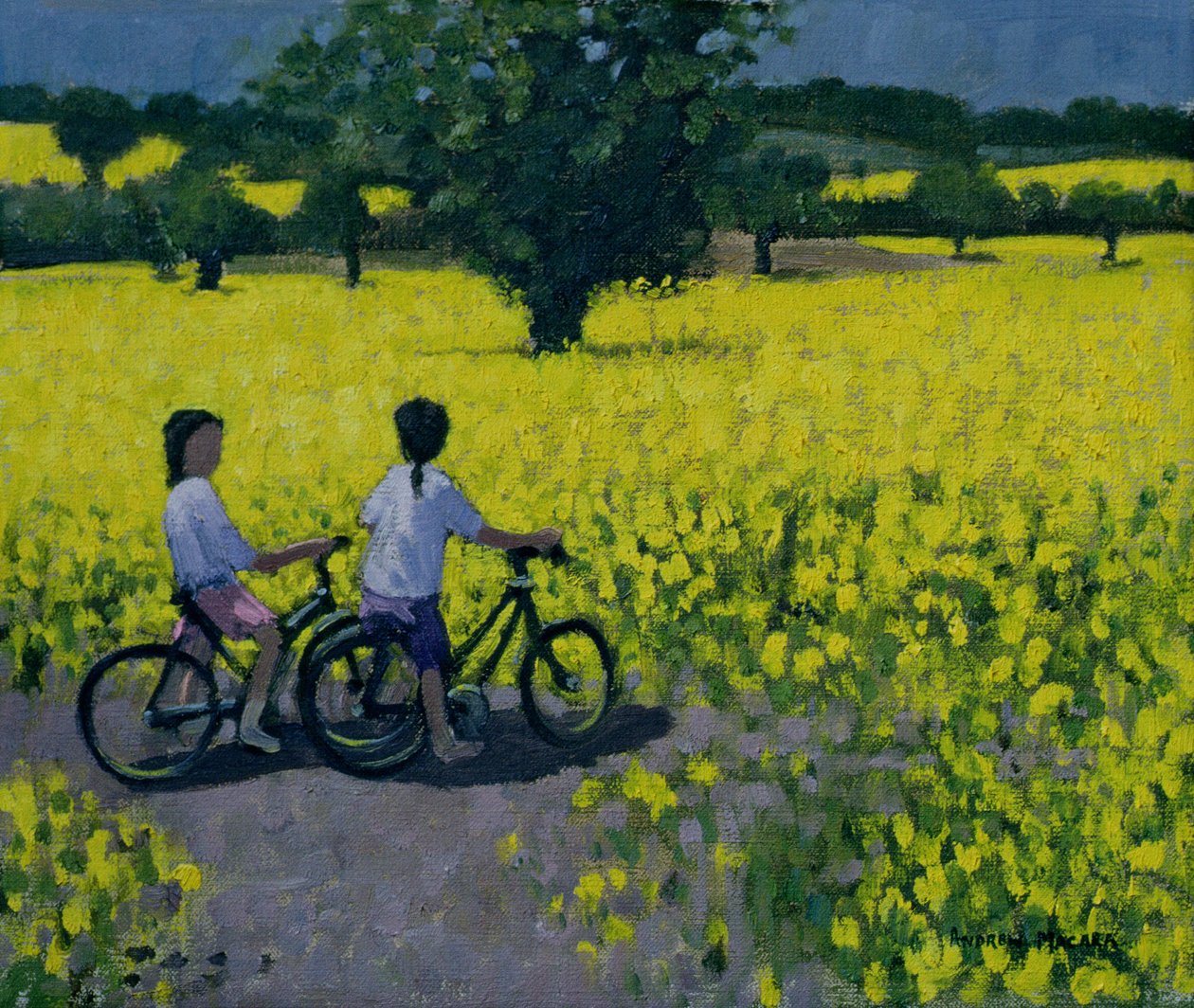 Yellow Field, Kedleston, Derby od Andrew Macara