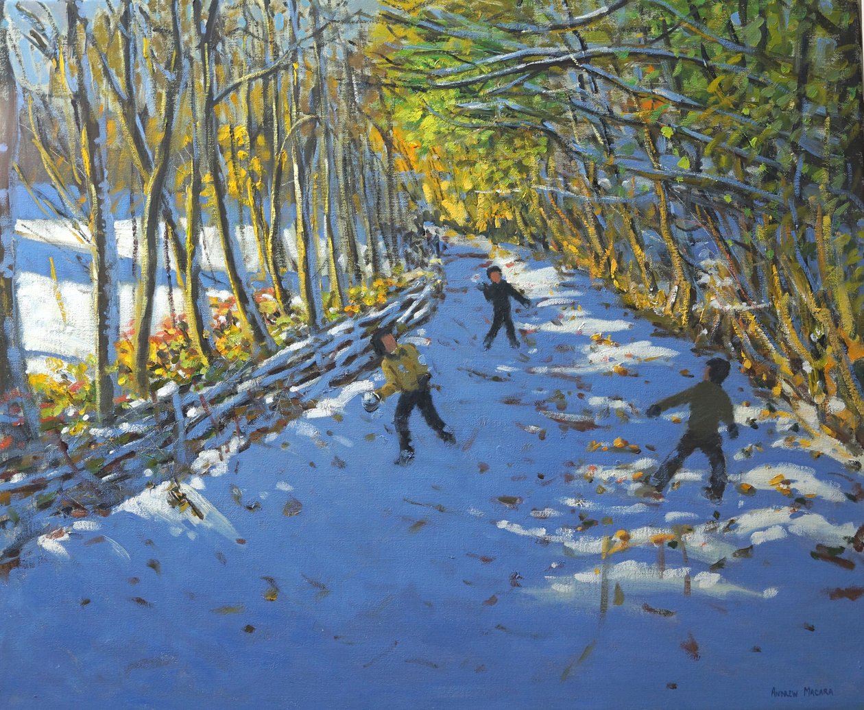 Žluté stromy, Allestree Park, 2012 od Andrew Macara