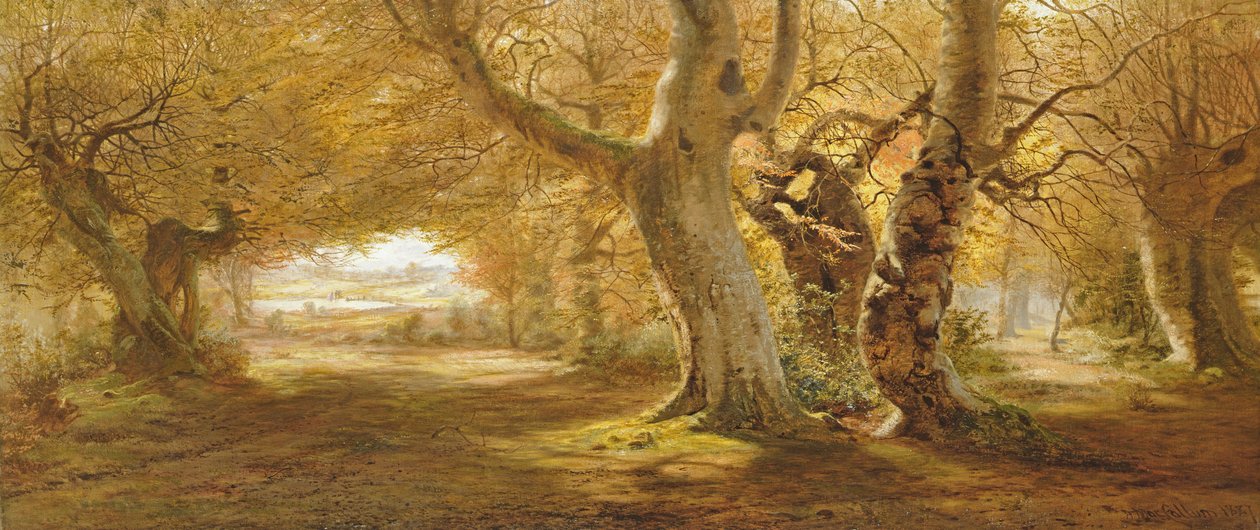 Zalesněná krajina, 1887 od Andrew McCallum