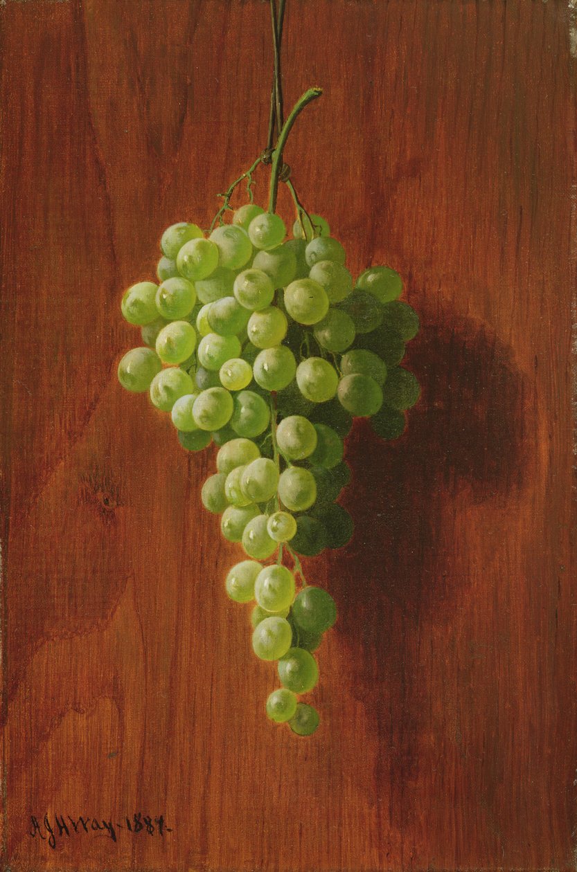 Hrozny (zelené), 1884 od Andrew John Henry Way