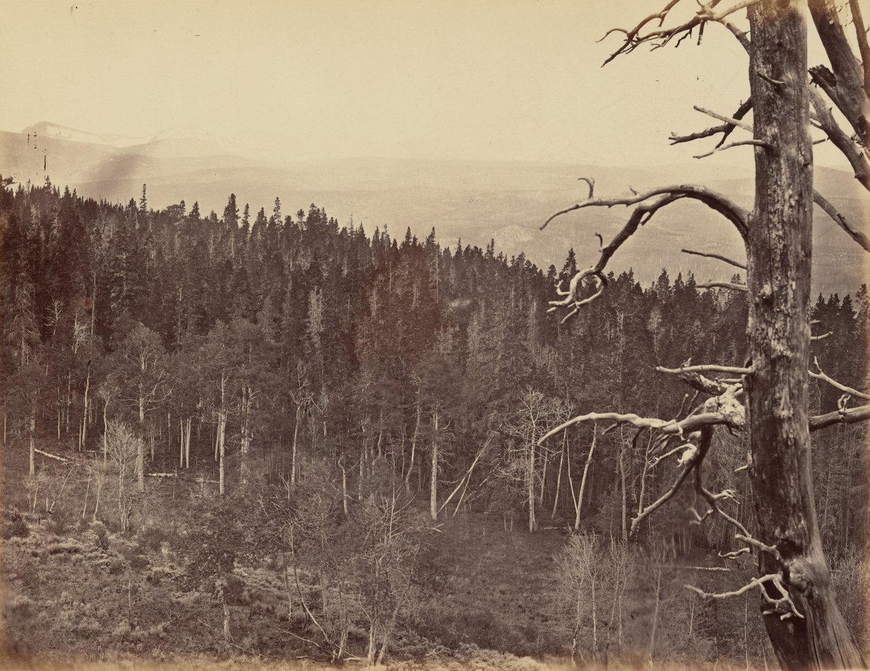 Deska 13. Linie sněhu a dřeva, pohoří Laramie, 1869 (foto) od Andrew Joseph Russell