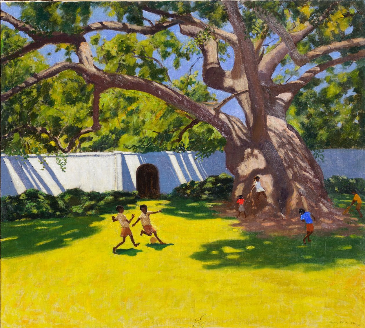 STAROBYLÝ STROM CAMPOR, PANSTVÍ VERGELEGEN, JIŽNÍ AFRIKA od Andrew Macara