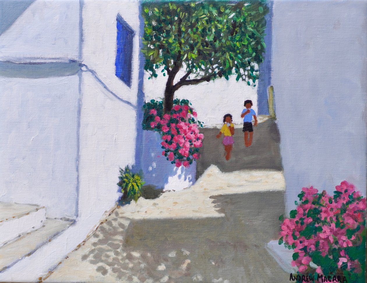 Bougainvillea,Skiathos, 2024 (olej na plátně) od Andrew Macara