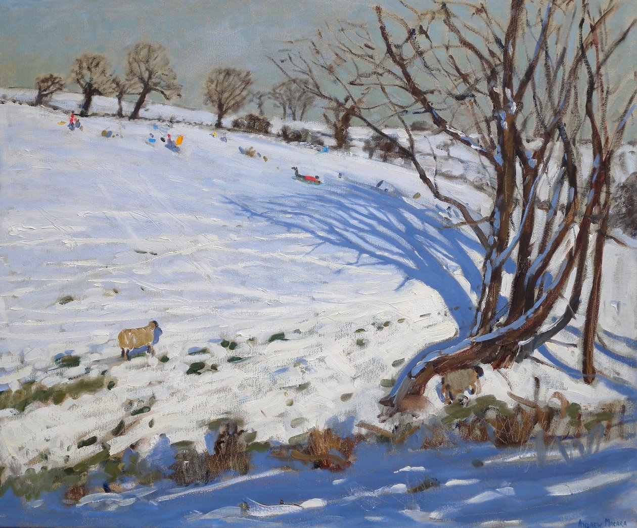  od Andrew Macara