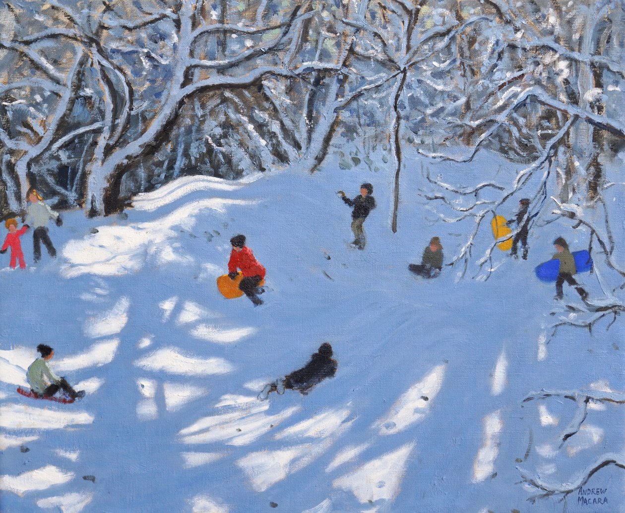 Vánoce,Allestree Woods,Derby,2017, od Andrew Macara