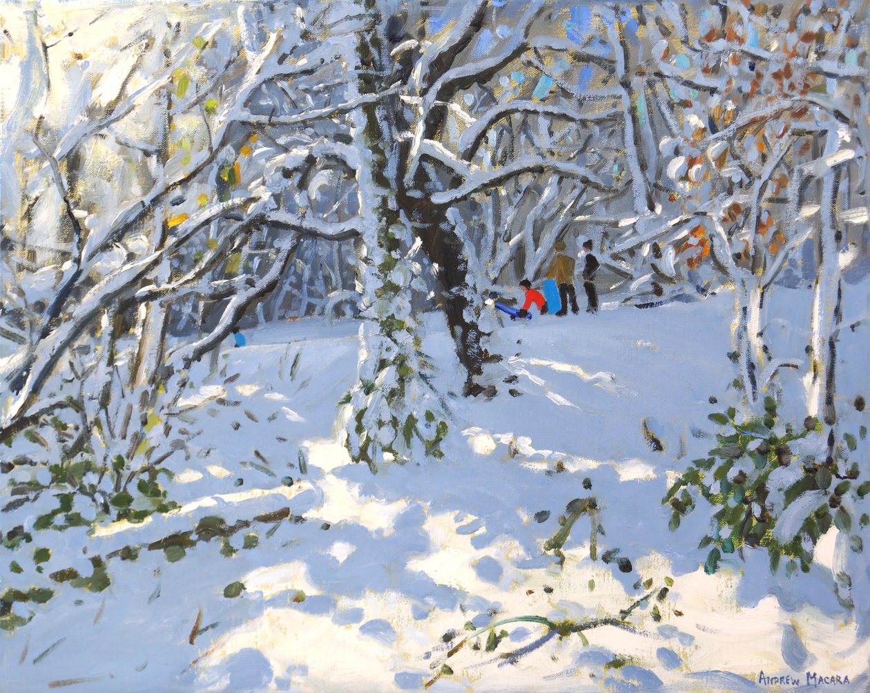 Vánoční sáňkování v lese Allestree,16x20 ,2013 od Andrew Macara