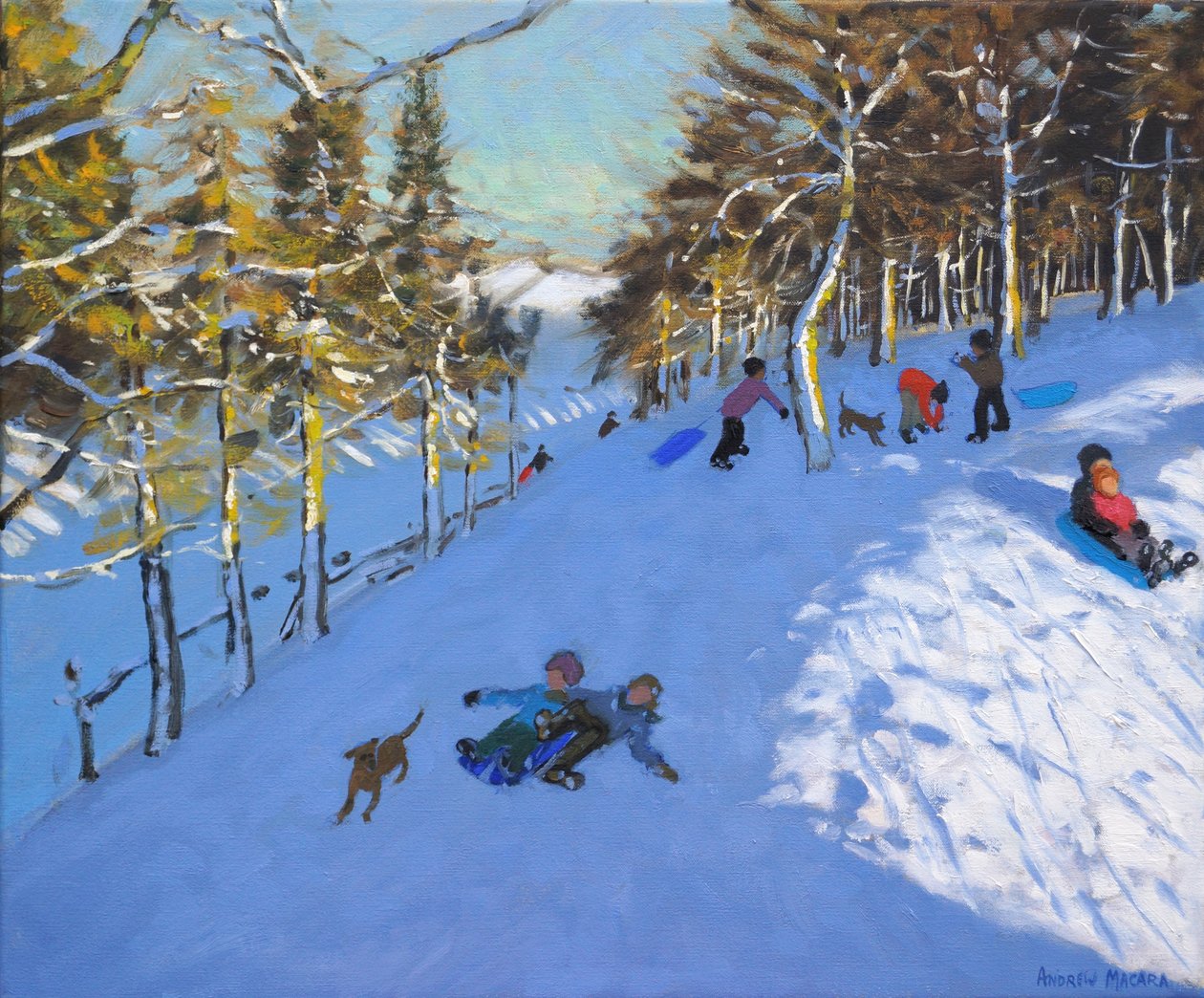 Rodinné sáňkování, Youlgreave, Derbyshire. 2016, od Andrew Macara