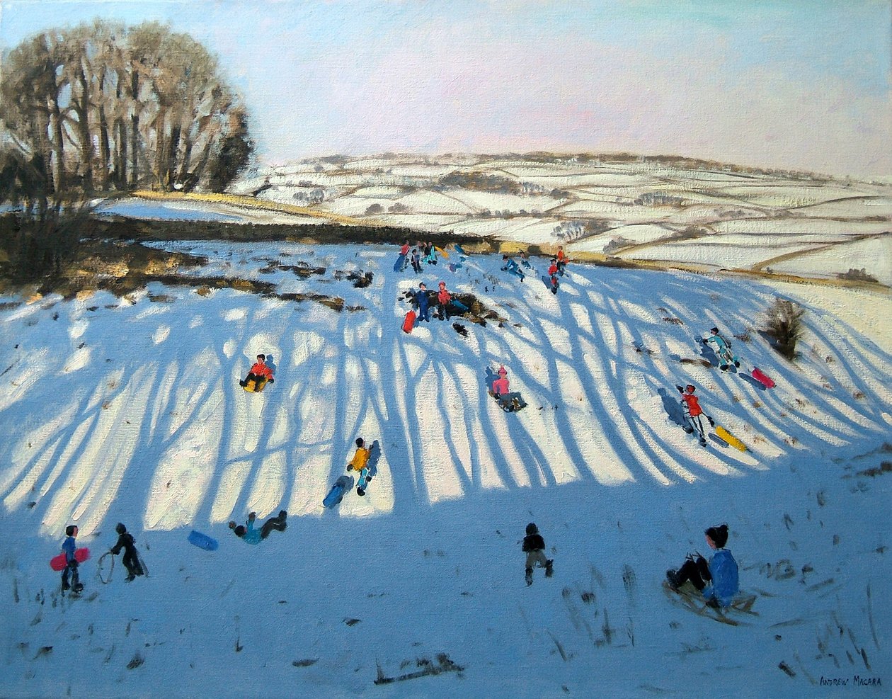 Fields of Shadows, Monyash, Derbyshire od Andrew Macara