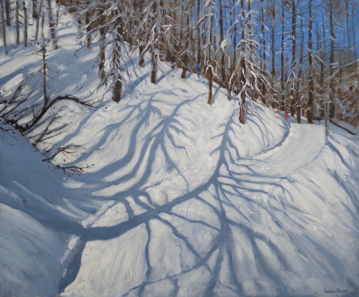 Stíny jedle, Tignes, 2009 od Andrew Macara