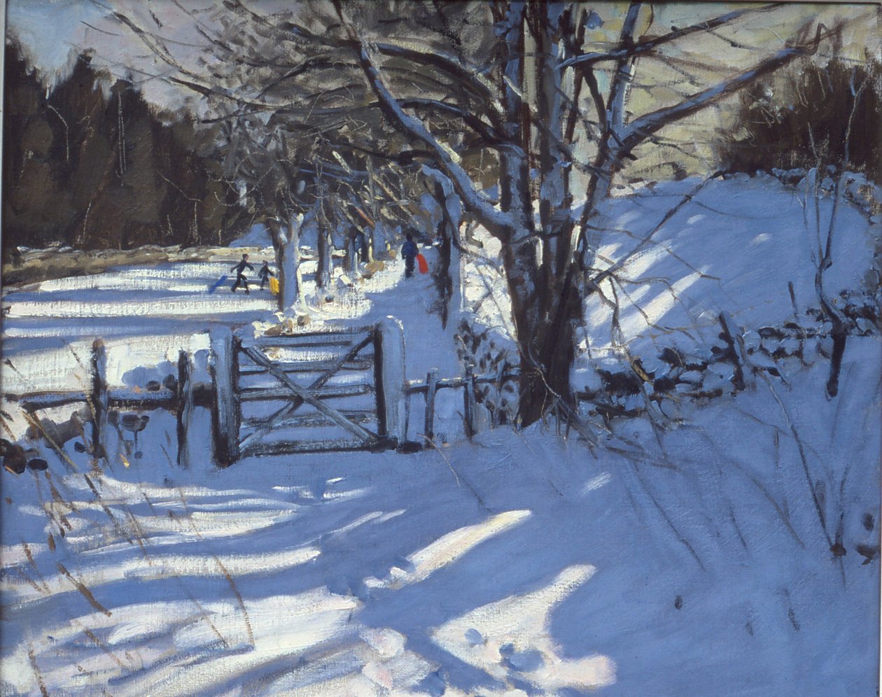 Brána u Youlgreave, Derbyshire od Andrew Macara