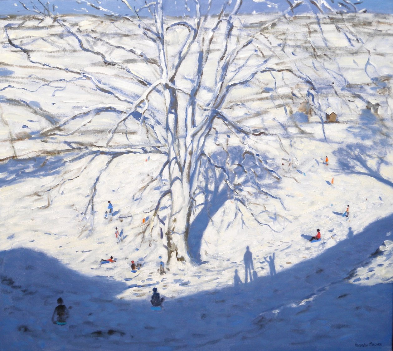 Hillside, Elton poblíž Rowsley, 2008 od Andrew Macara