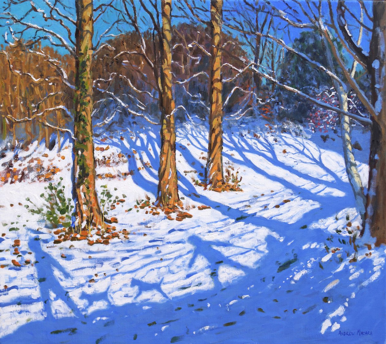 Listopadový sníh, Allestree Park,Derby, 2017, od Andrew Macara