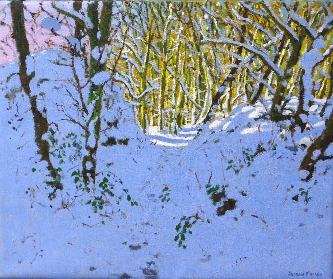 Cesta lesem v zimě, Derbyshire, (olej na plátně) od Andrew Macara