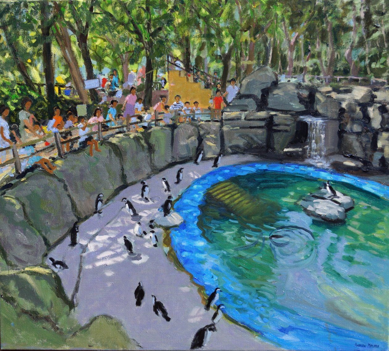 Bazén s tučňáky,Zoo Madrid. 2015 od Andrew Macara