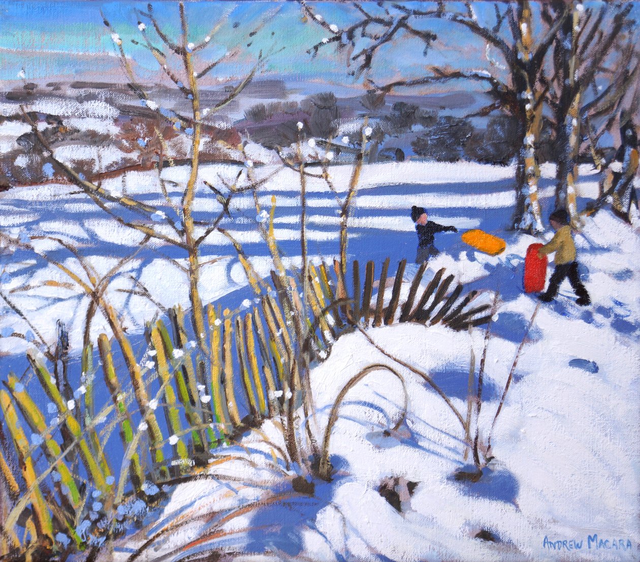 Červené a oranžové sáňky, Derbyshire, 2017, od Andrew Macara