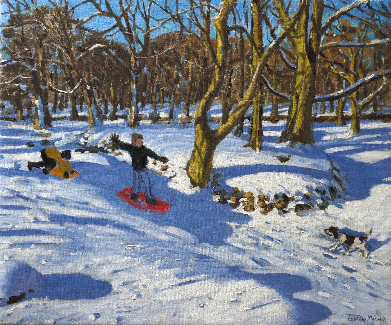 Červené saně, Lomberdale Hall, Derbyshire, 2014, od Andrew Macara