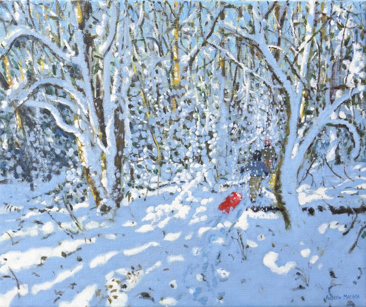 Červené sáňky, Allestree Park, Derby, 2022 (olej na plátně) od Andrew Macara