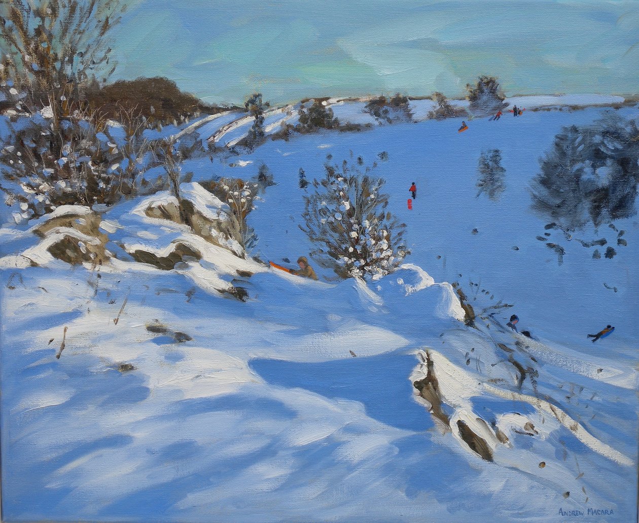 Sledgers, Derbyshire, 2011 od Andrew Macara