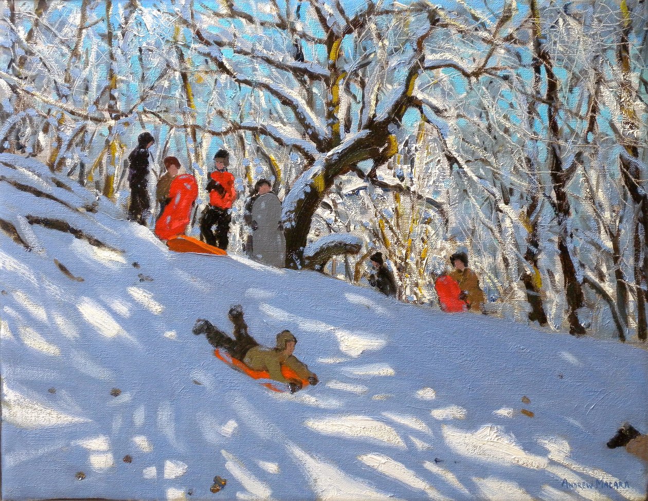 Sáňkování, 2010 (olej na plátně) od Andrew Macara