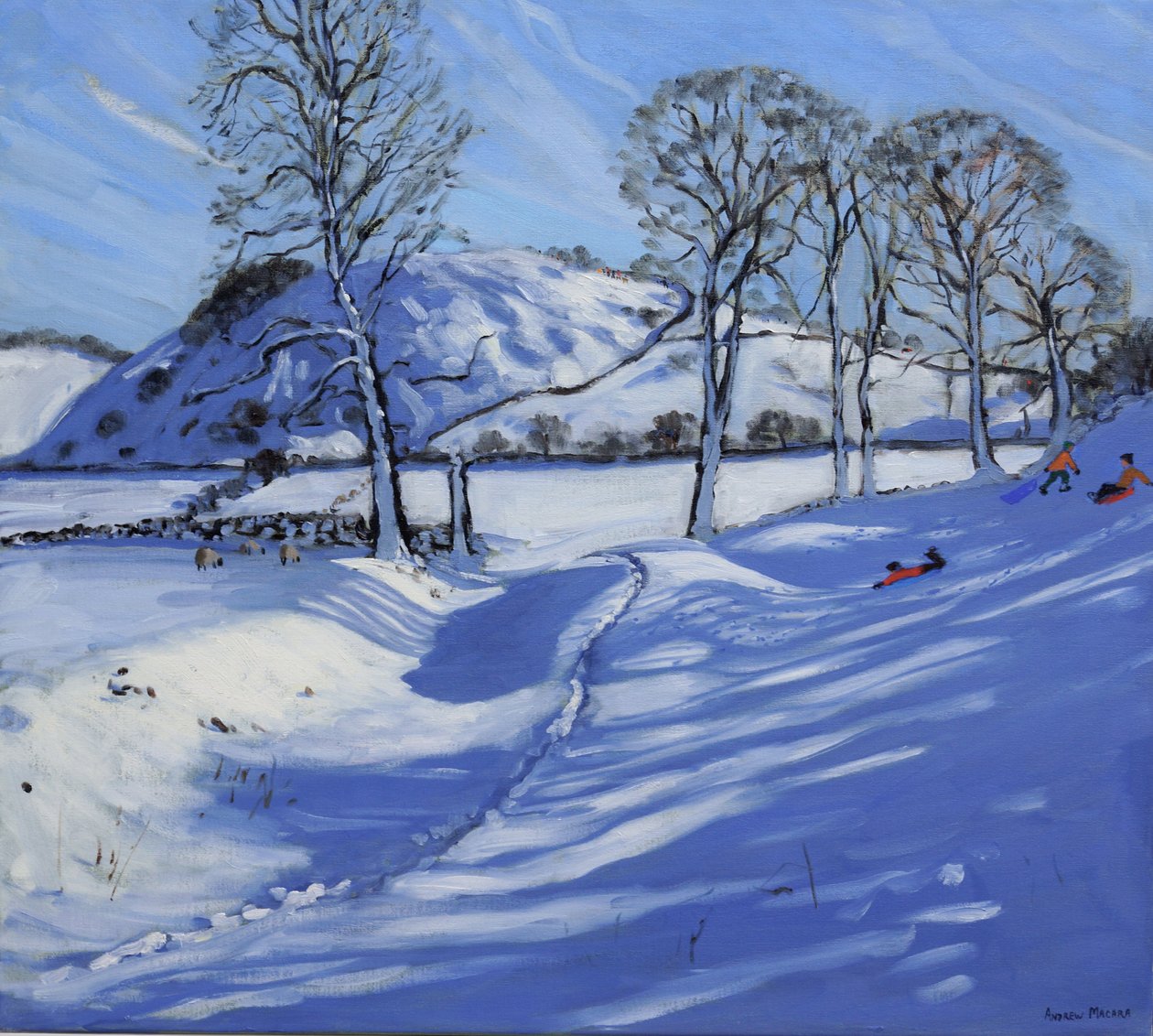 Sáňkování, Derbyshire Peak District, 2012 od Andrew Macara