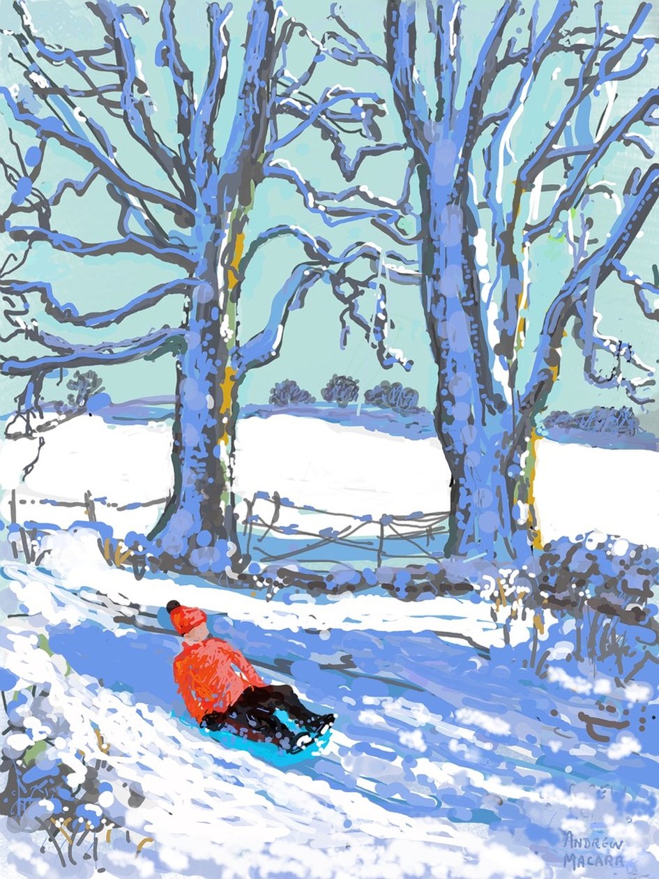Sáňkování v Derbyshire, 2021 (tisk pro Ipad) od Andrew Macara