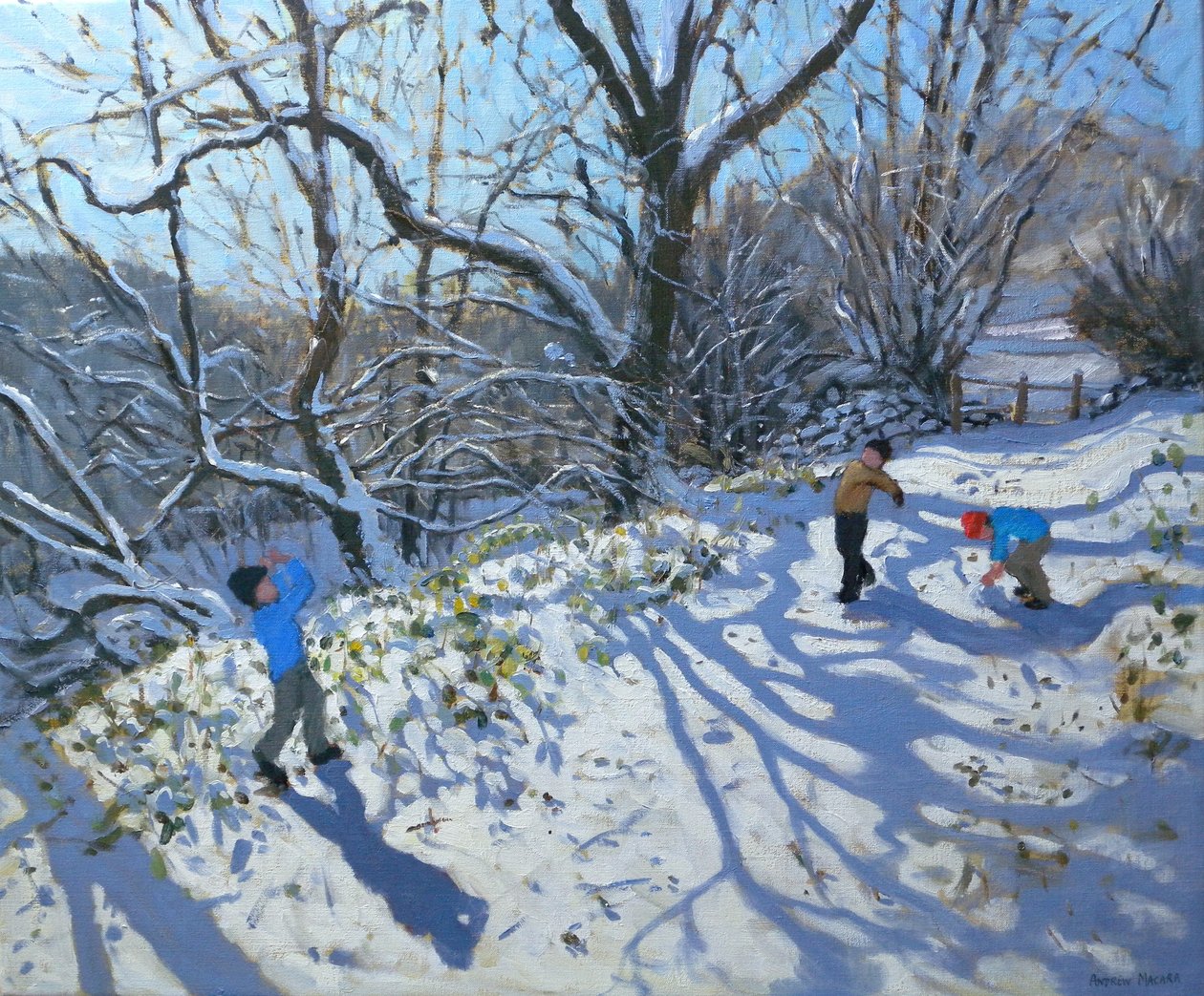 Sněhová koule, 2007 od Andrew Macara