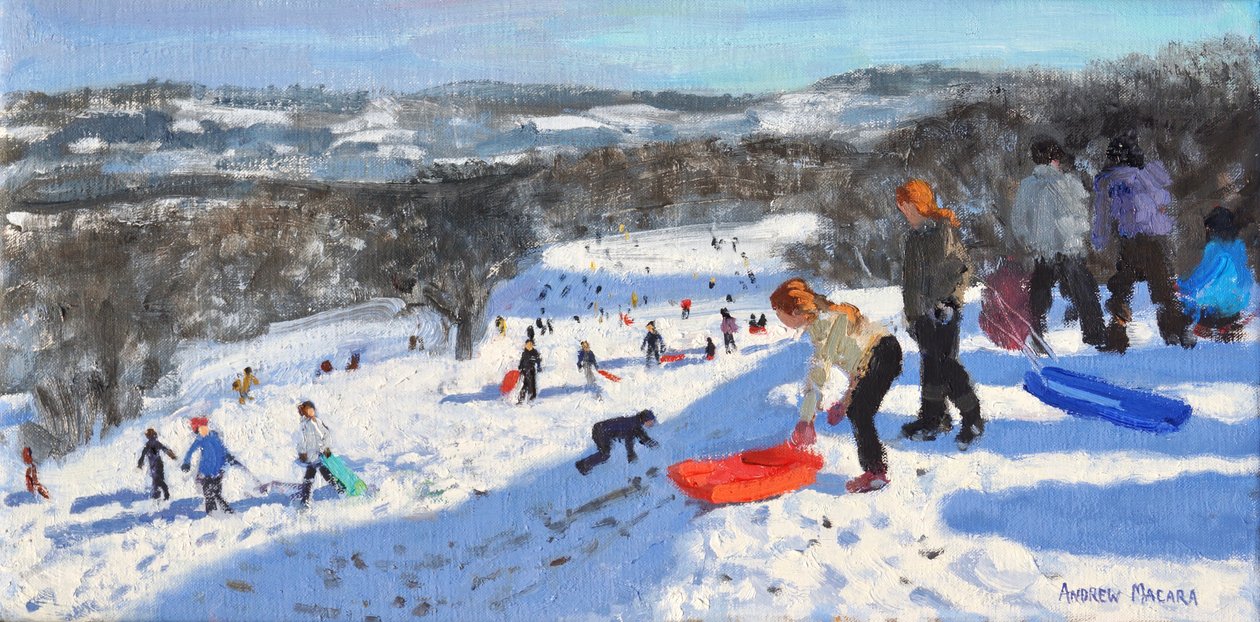 Červené sáňky, Allestree Park, Derby, 2016, od Andrew Macara