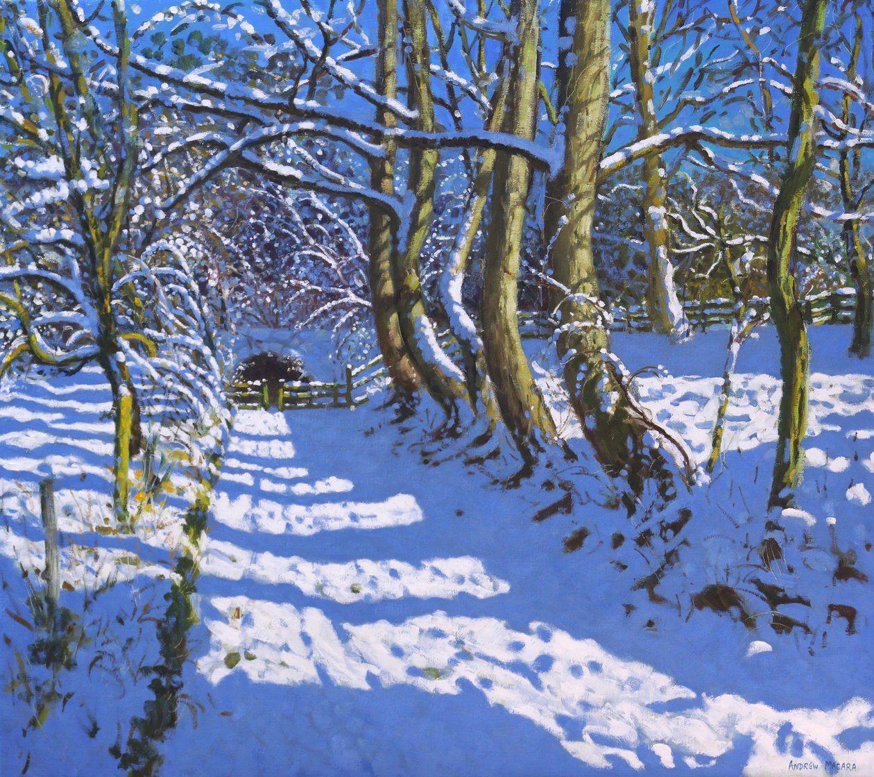 Tunel, Calke Abbey, Ticknall, Derby, 2021 (olej na plátně) od Andrew Macara
