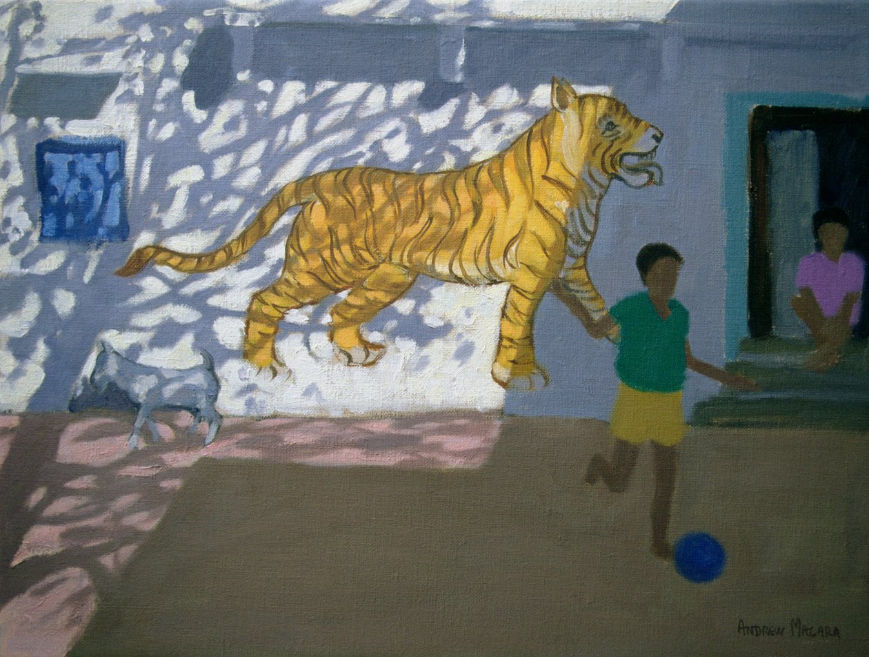 Tygr, Indie od Andrew Macara