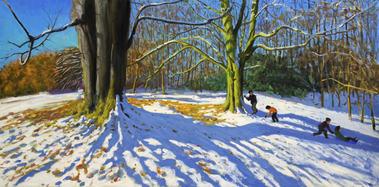 Top of Allestree Park, 2014 (olej na plátně) od Andrew Macara