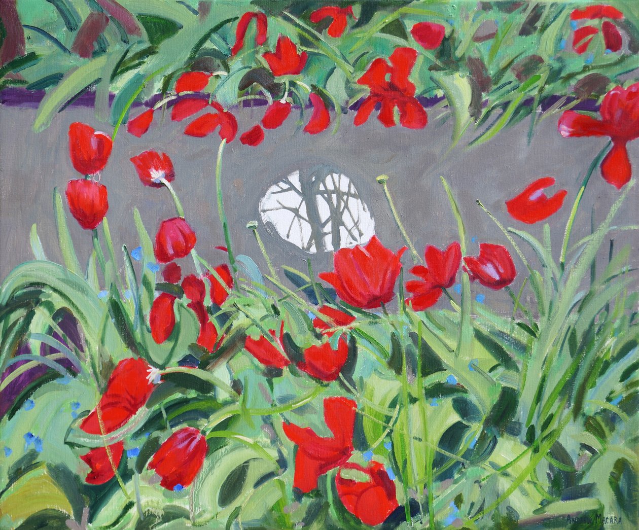 Tulipány a reflexe,2017, od Andrew Macara