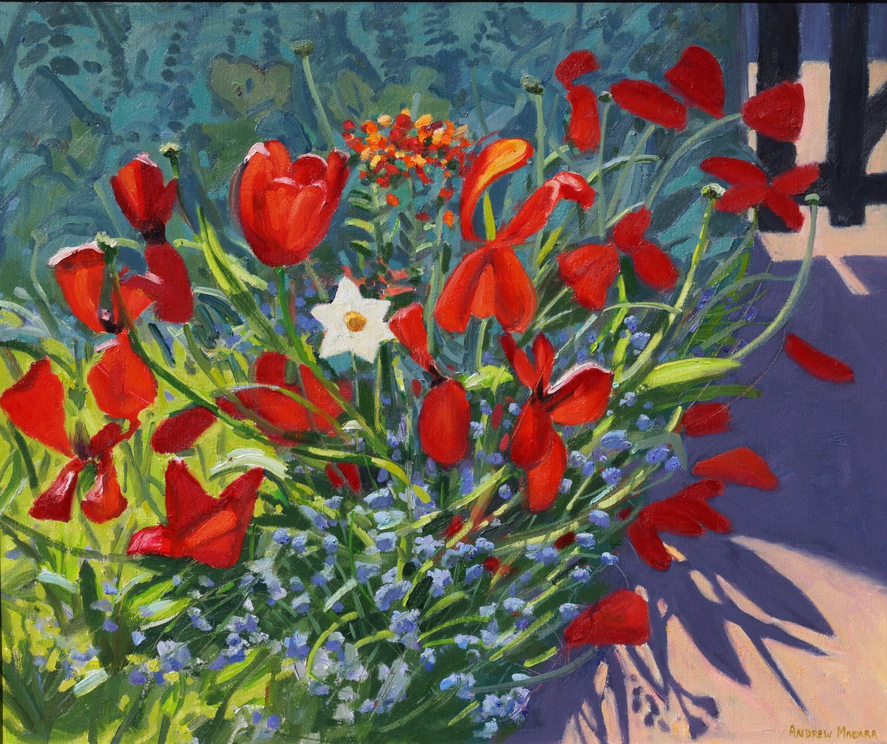 Tulipány u brány, 2017, od Andrew Macara