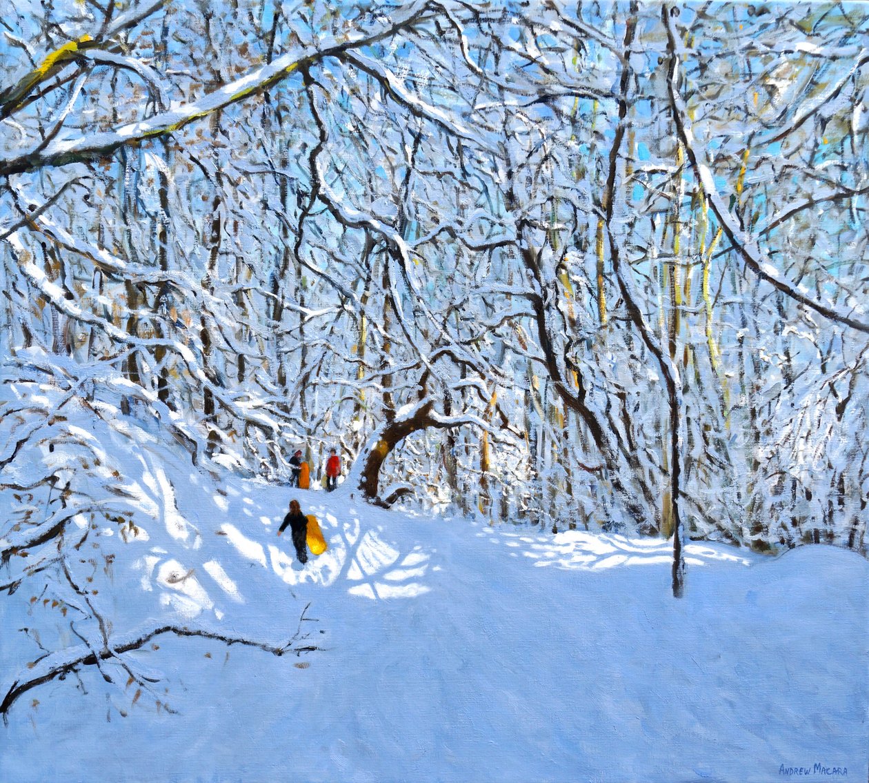 Žluté a oranžové sáňky, Allestree Park, Derby. 36 x 40, 2018, od Andrew Macara