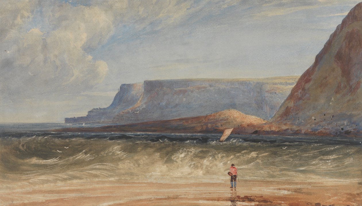Pobřeží Antrim od Andrew Nicholl