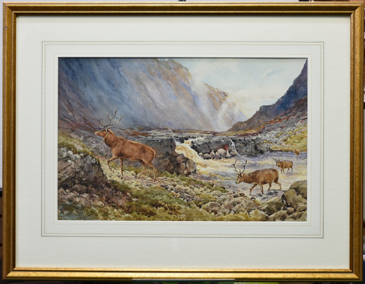 Deer Crossing the River Coe (akvarel na papíře) od Andrew Scott Rankin