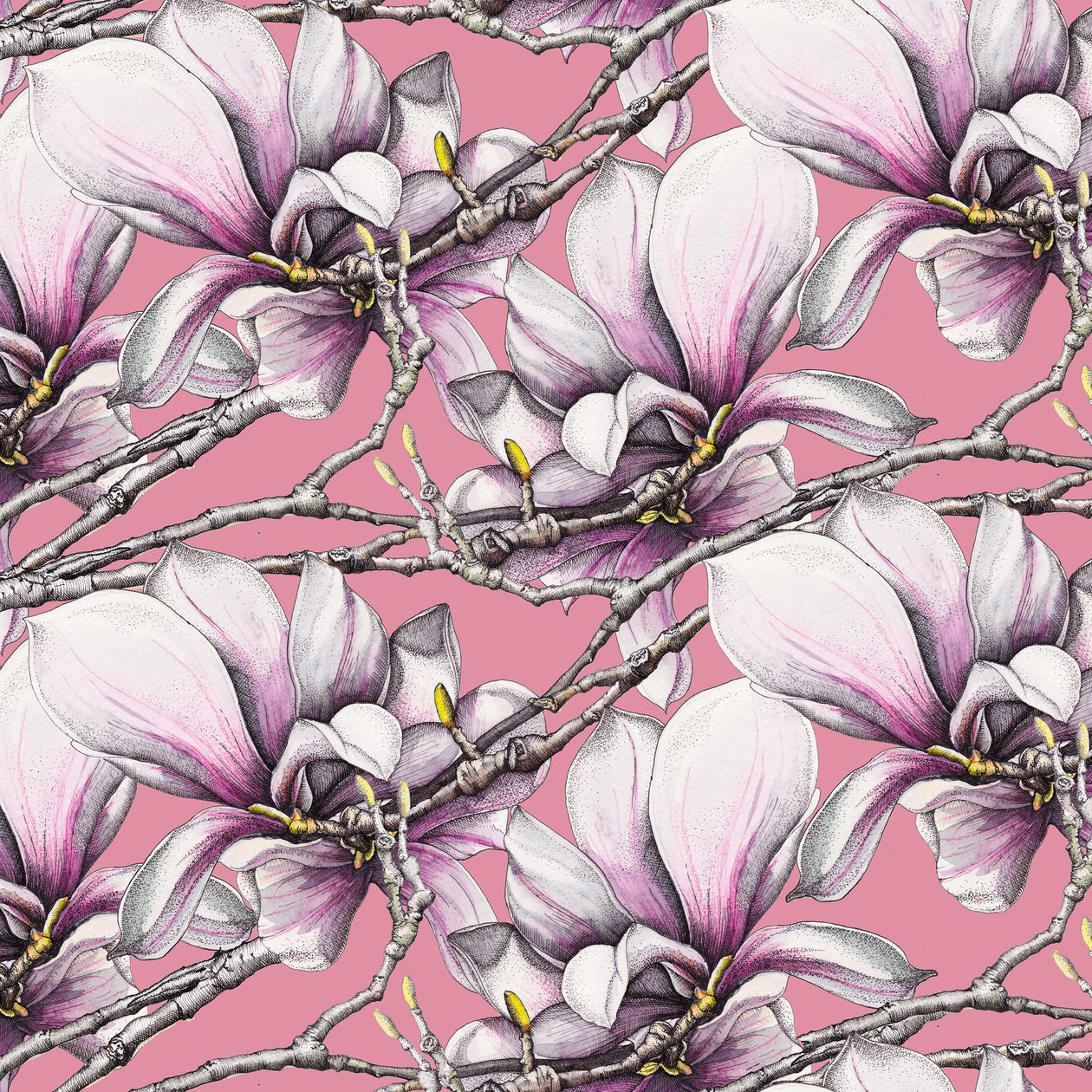 Magnolia, 2019 (akvarel, pero) od Andrew Watson