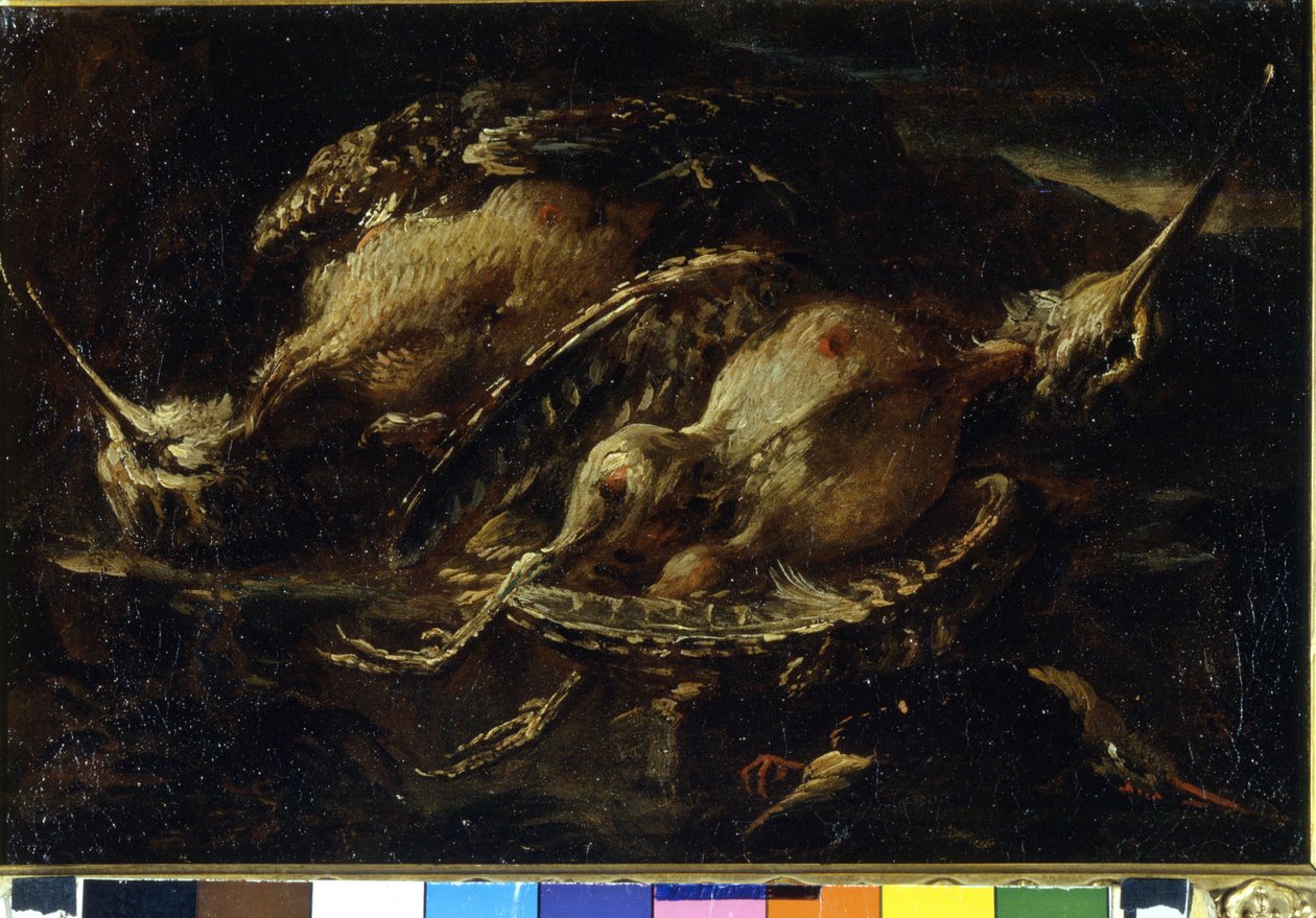 Zátiší ptáků. Obraz Angelo Maria Crivellone (? - 1730/60?). Milán, ČRA. od Angelo Maria Crivelli