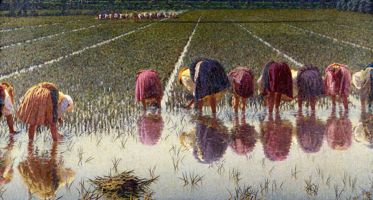 Za osmdesát haléřů od Angelo Morbelli