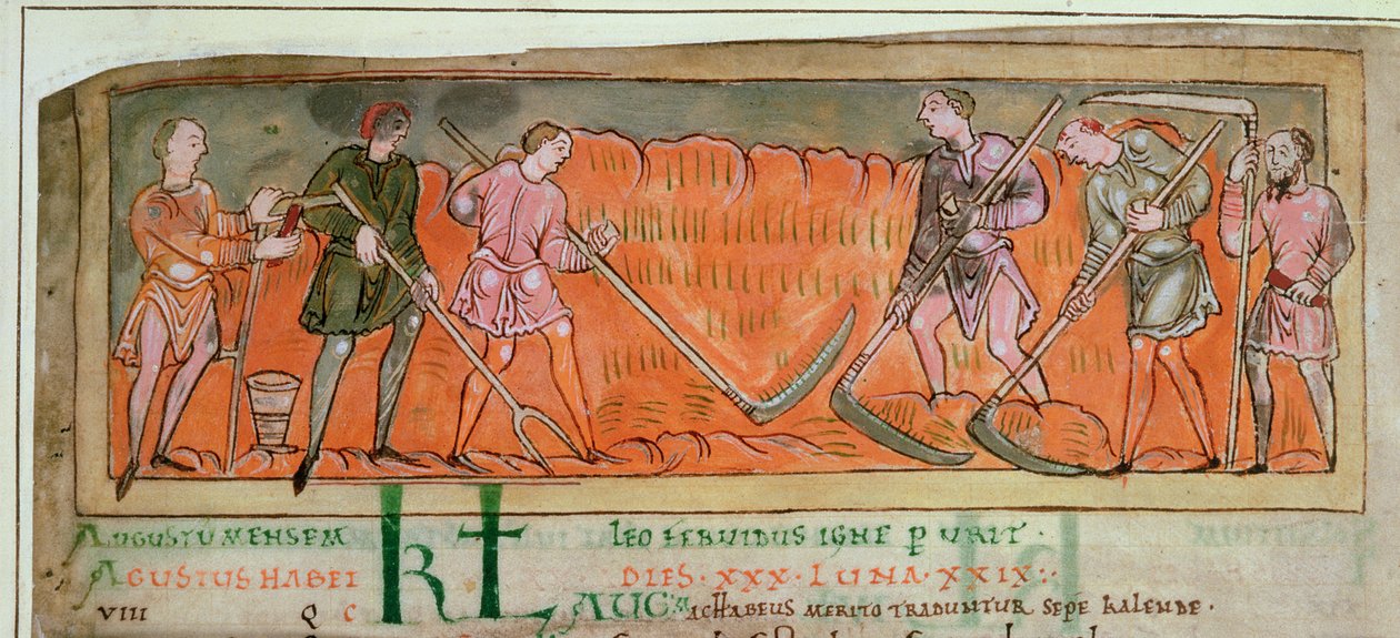 Cott Tib B V f.6v Harvesting, from a Calendar, c.1030 (vellum) (detail of 41681) od Anglo Saxon