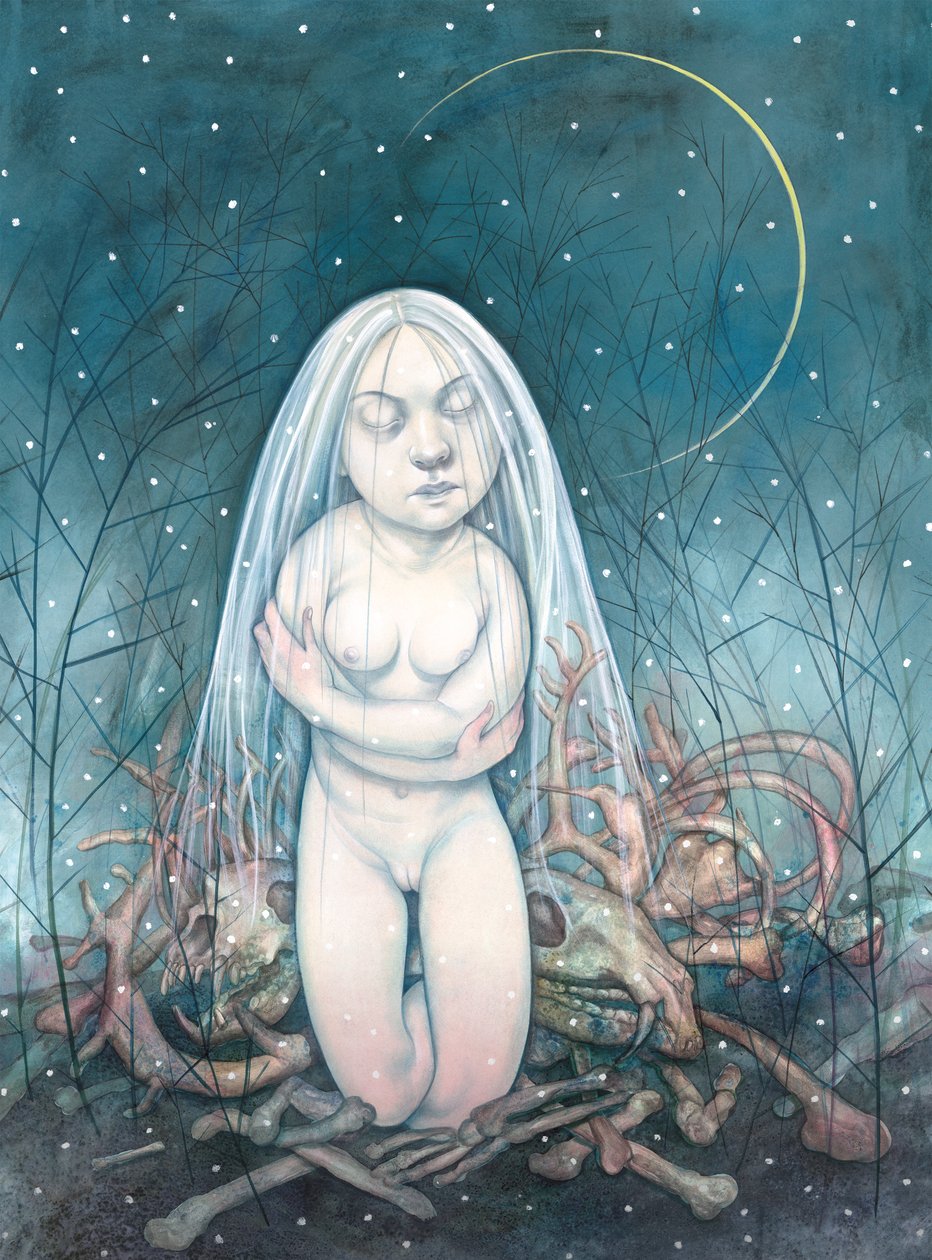 Zima, 2013 (akrylová barva na ilustrační tabuli) od Anita Kunz