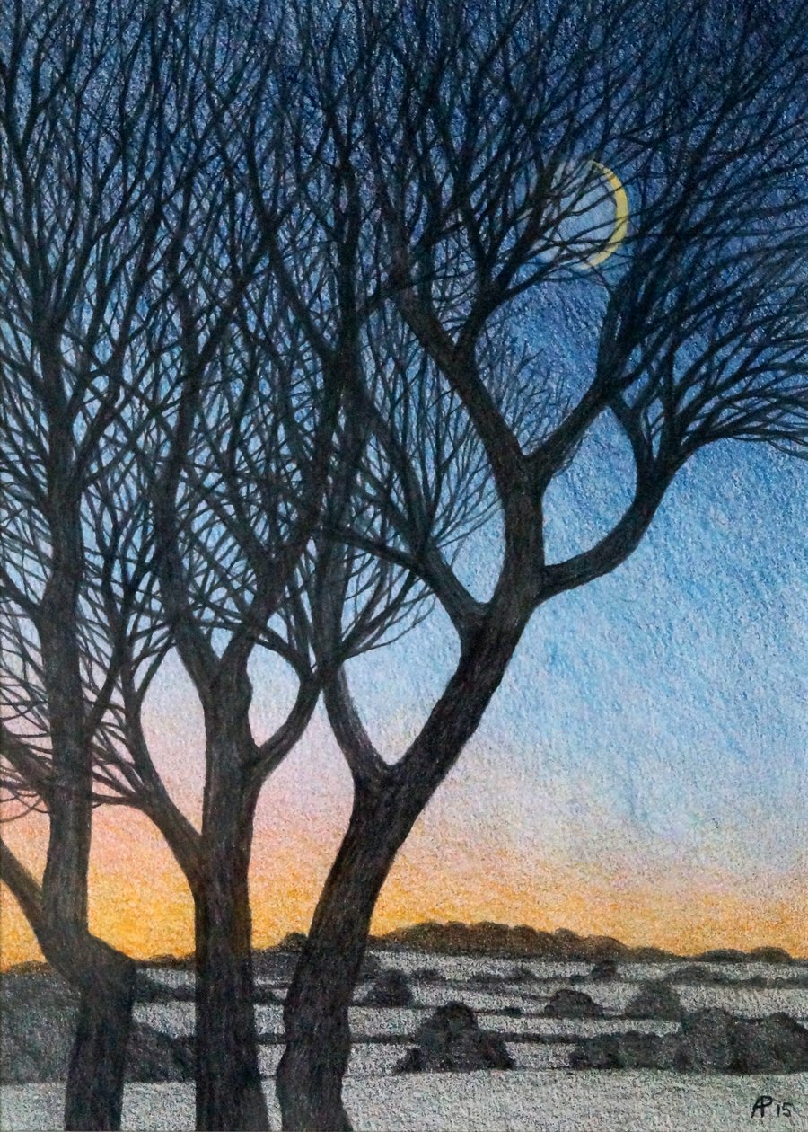 Stromy a Měsíc, 2015 (kombinovaná média na papíře) od Anna Phillips