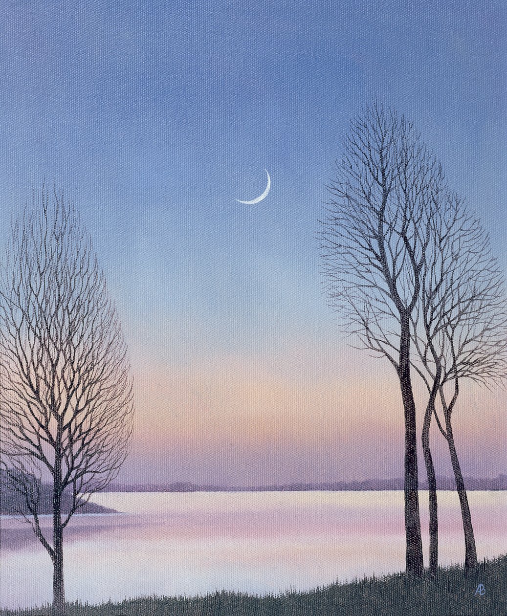 Soumrak v Draycote, 2008 od Anna Phillips