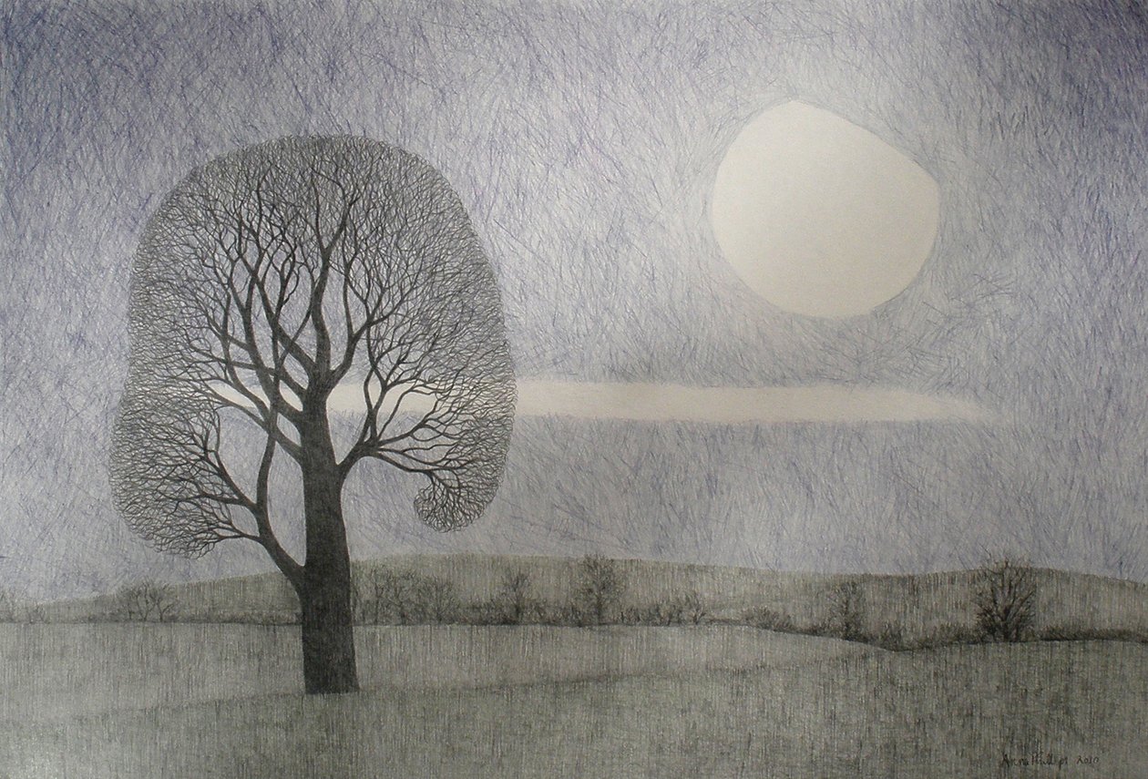 Únorový měsíc, 2010 (barevná tužka na papíře) od Anna Phillips