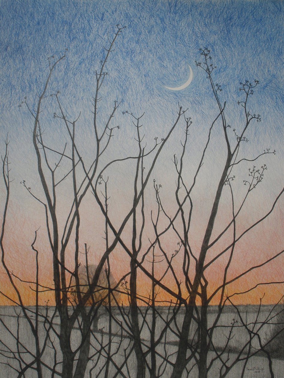 Z mého okna, 2011 (barevná tužka na papíře) od Anna Phillips