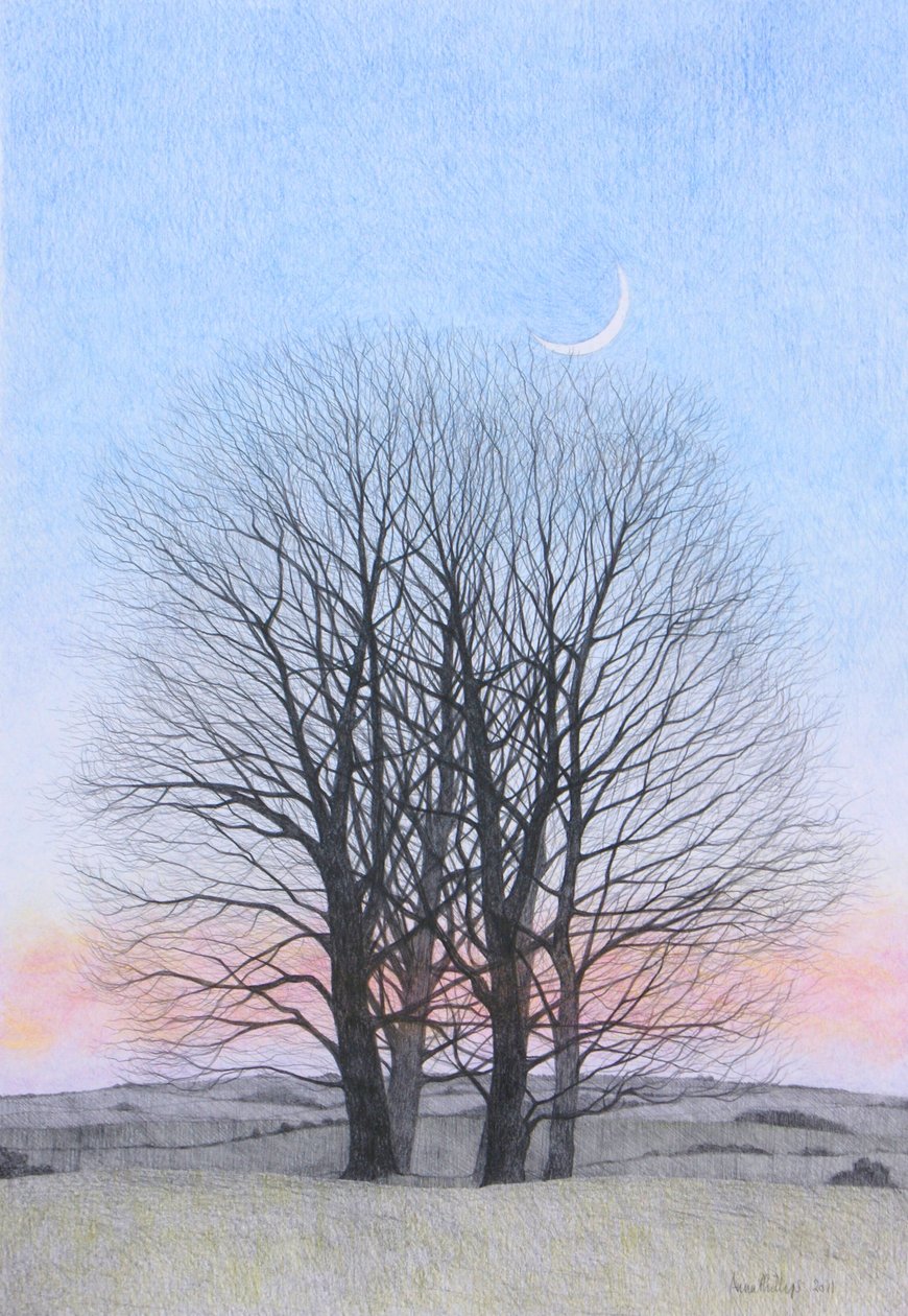 Novoluní, 2011 (barevná tužka na papíře) od Anna Phillips